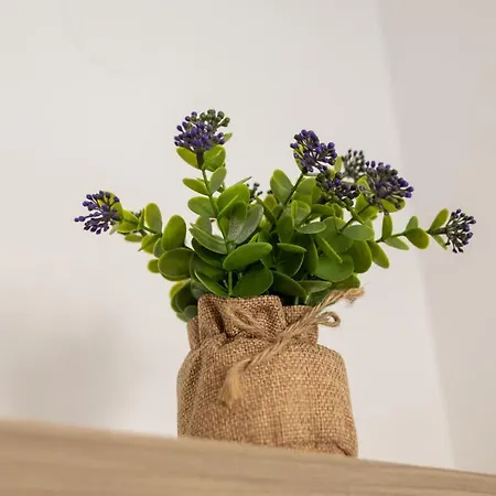 公寓 Hugo Superior 塞萨洛尼基